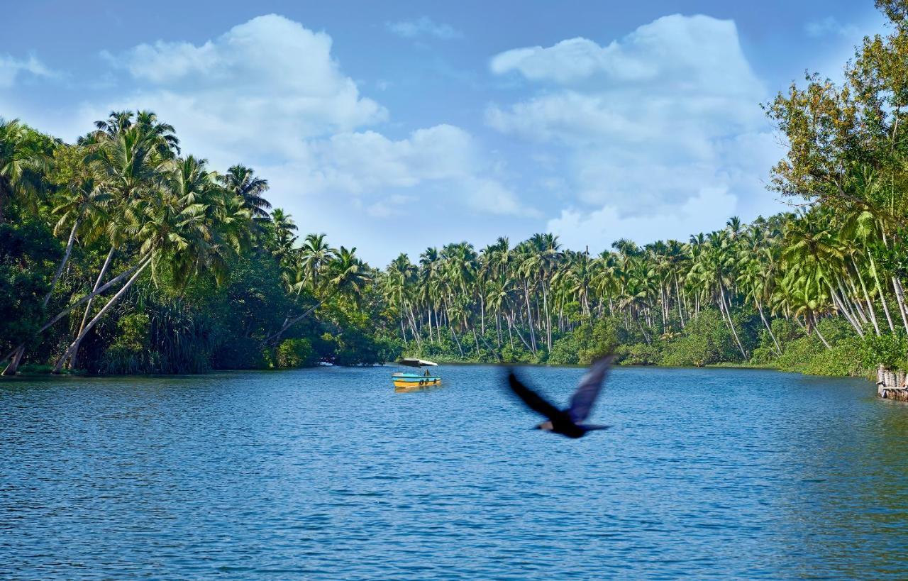 Estuary Sarovar Premiere Poovar Island Luaran gambar